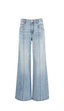 Jodi Jean By Kut from the Kloth (Straight wide Leg)